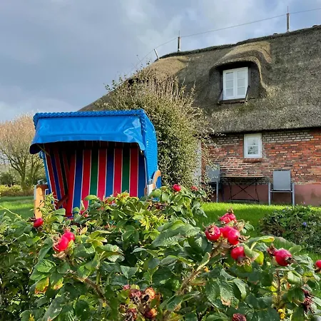 Friesenhaus Westerschuetting